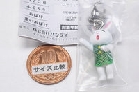 Megane usagi mejirushi accessory [2.Usako B]
