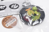 Matcha sweets collection [2.Matcha fondant au chocolat sweets plate]