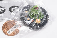 Matcha sweets collection [5.Matcha Mont Blanc sweets plate]