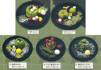Matcha sweets collection [All 5 type set(Full Complete)]