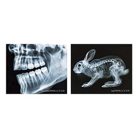 X-ray light [3.C]