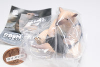 RBEN STUDIO Animal Figure Mascot Part.5 [2.Southern tamandua]