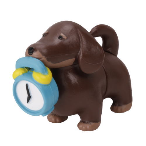 Dry battery Dachshund [1.Chocolate Cream]