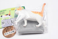 Walking cat Part.2 [6.Chatora White & Gutter Cover]