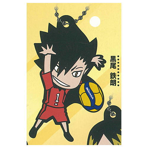 Haikyu!! x MIKASA Character Rubber Collection [3.Tetsurou Kuroo]