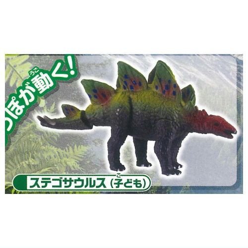 Capsule ANIA Dinosaurs and ancient creatures New Edition [3.Stegosaurus (child)]