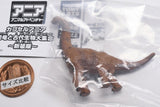 Capsule ANIA Dinosaurs and ancient creatures New Edition [5.Brachiosaurus (child)]