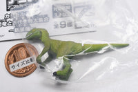 Capsule ANIA Dinosaurs and ancient creatures New Edition [6.Velociraptor (child)]