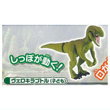 Capsule ANIA Dinosaurs and ancient creatures New Edition [6.Velociraptor (child)]