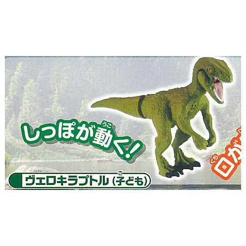 Capsule ANIA Dinosaurs and ancient creatures New Edition [6.Velociraptor (child)]