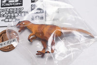 Capsule ANIA Dinosaurs and ancient creatures New Edition [7.Allosaurus (child)]