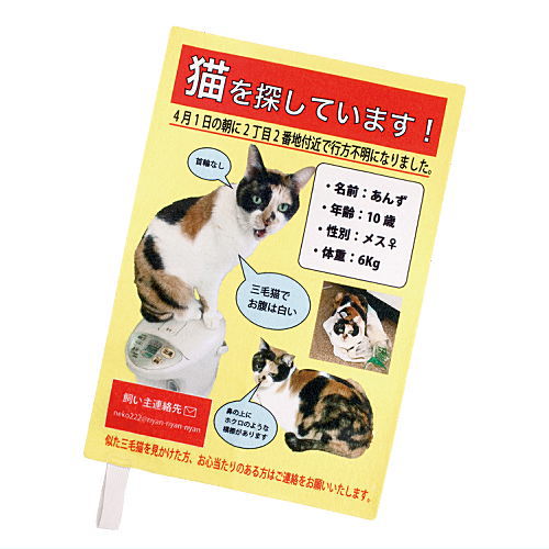 Chokottokoshikake Picnic sheet [3.Looking for a cat!]