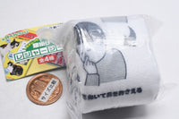 Chokottokoshikake Picnic sheet [4.Health News]