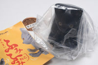 Mainspring Fumifumi cat [4.Black cat]