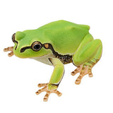 Nature of Japan Japanese Creatures 02 [4.Japanese tree frog]