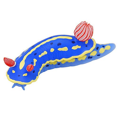 Nature of Japan Japanese Creatures 02 [8.Green sea slug]