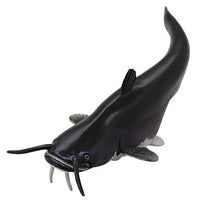 Nature of Japan Japanese Creatures 02 [9.Giant Lake Biwa catfish]