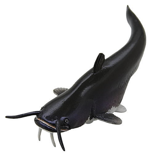 Nature of Japan Japanese Creatures 02 [9.Giant Lake Biwa catfish]