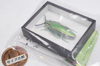Science Technicolour German Box Magnet Collection Part.4 [1.Yamato jewel beetle]
