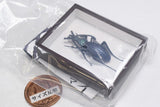 Science Technicolour German Box Magnet Collection Part.4 [2.Ooruriosamushi]