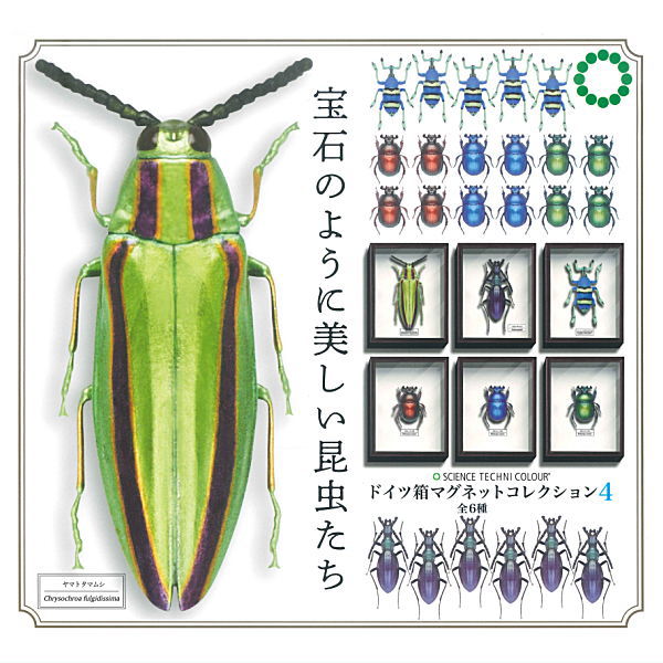 Science Technicolour German Box Magnet Collection Part.4 [All 6 type set(Full Complete)]