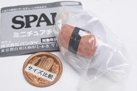 SPAM Miniature Charm [5.SPAM onigiri]