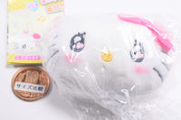 Sanrio Characters narashite pippi! Oto ga naru mascot plush toy with emo-kyun design [1.Hello Kitty]