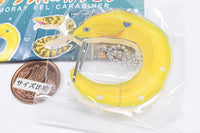 Utsubo carabiner [1.Himeutsubo]