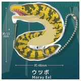 Utsubo carabiner [2.Utsubo]