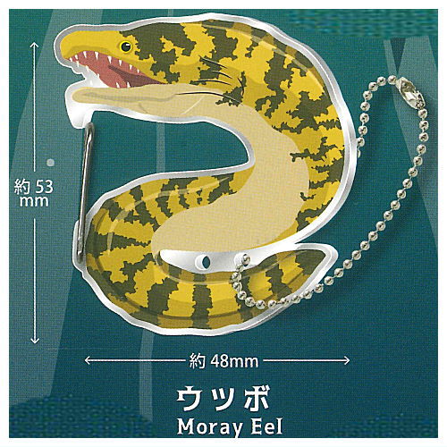 Utsubo carabiner [2.Utsubo]