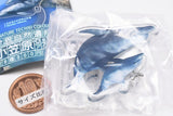 Nature Techni Colour World Natural Heritage Ogasawara Acrylic Mascot [1.Indian Ocean Bottlenose Dolphin]