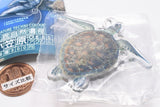 Nature Techni Colour World Natural Heritage Ogasawara Acrylic Mascot [2.Green Sea Turtle]