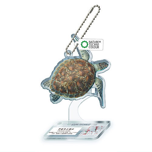 Nature Techni Colour World Natural Heritage Ogasawara Acrylic Mascot [2.Green Sea Turtle]