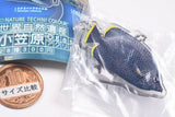 Nature Techni Colour World Natural Heritage Ogasawara Acrylic Mascot [3.Wrought iron butterflyfish]