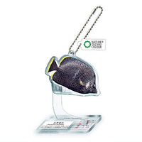 Nature Techni Colour World Natural Heritage Ogasawara Acrylic Mascot [3.Wrought iron butterflyfish]