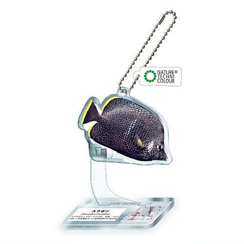 Nature Techni Colour World Natural Heritage Ogasawara Acrylic Mascot [3.Wrought iron butterflyfish]