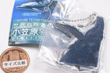 Nature Techni Colour World Natural Heritage Ogasawara Acrylic Mascot [4.Humpback Whale]