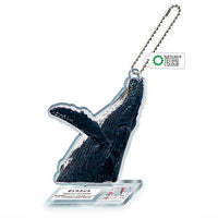 Nature Techni Colour World Natural Heritage Ogasawara Acrylic Mascot [4.Humpback Whale]