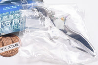 Nature Techni Colour World Natural Heritage Ogasawara Acrylic Mascot [5.Short-tailed albatross]
