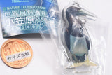Nature Techni Colour World Natural Heritage Ogasawara Acrylic Mascot [6.Brown booby]