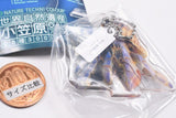 Nature Techni Colour World Natural Heritage Ogasawara Acrylic Mascot [7.Purple Terrestrial Hermit Crab]