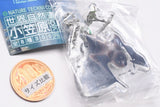 Nature Techni Colour World Natural Heritage Ogasawara Acrylic Mascot [8.Ogasawara Flying Fox]