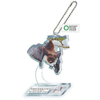 Nature Techni Colour World Natural Heritage Ogasawara Acrylic Mascot [8.Ogasawara Flying Fox]