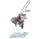 Nature Techni Colour World Natural Heritage Ogasawara Acrylic Mascot [8.Ogasawara Flying Fox]