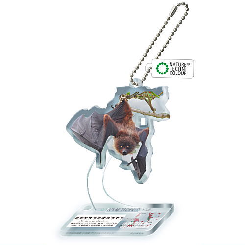 Nature Techni Colour World Natural Heritage Ogasawara Acrylic Mascot [8.Ogasawara Flying Fox]
