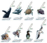 Nature Techni Colour World Natural Heritage Ogasawara Acrylic Mascot [All 8 type set(Full Complete)]