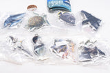 Nature Techni Colour World Natural Heritage Ogasawara Acrylic Mascot [All 8 type set(Full Complete)]