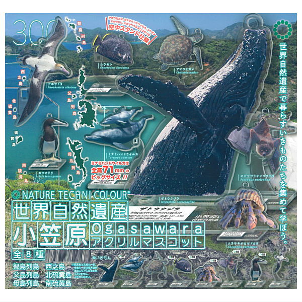 Nature Techni Colour World Natural Heritage Ogasawara Acrylic Mascot [All 8 type set(Full Complete)]