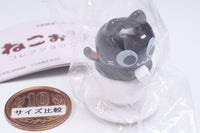 TAMA-KYU NeCoffee Collection figure [3.Guriguri (sugar cube)]