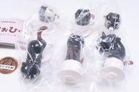 TAMA-KYU NeCoffee Collection figure [All 6 type set(Full Complete)]